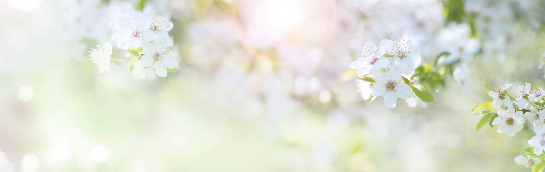 top_banner-national1